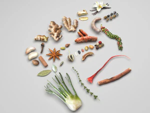 Specerijen collectie 3D Model