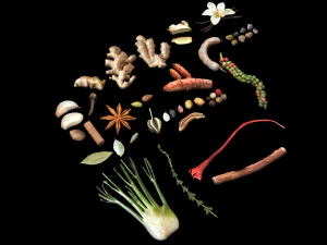 Spices Collection 3D Model