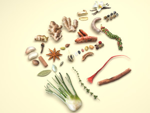 Spices Collection Model 3D