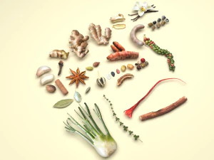 Spices Collection 3D Model