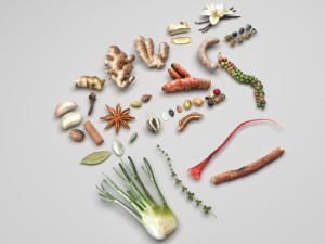 Spices Collection Model 3D