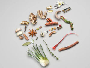 Spices Collection 3D Model