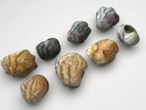 Spices Collection 3D Model