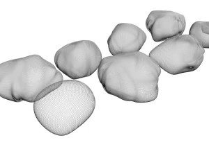 Spices Collection 3D Model