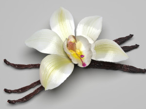 Spices Collection Model 3D