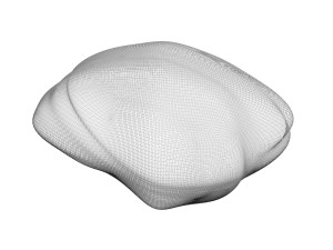 Spices Collection Model 3D