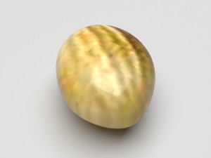 Spices Collection Model 3D
