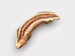 Spices Collection Model 3D
