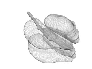 Spices Collection Model 3D
