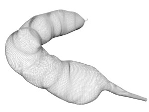 Spices Collection Model 3D