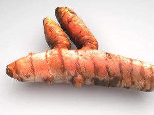 Spices Collection 3D Model