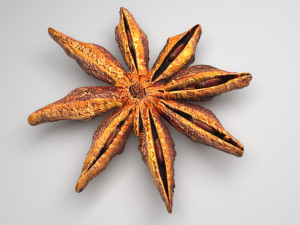 Spices Collection Model 3D
