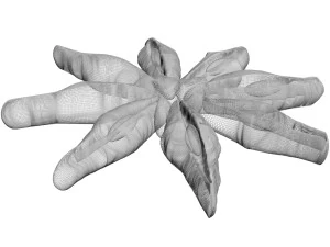 Spices Collection 3D Model