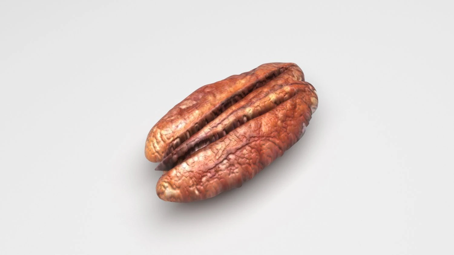 Pecan Nut 3D Model .c4d .max .obj .3ds .fbx .stl .blend 