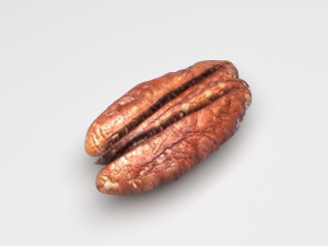 Pecan Nut 3D Model