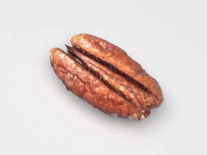 Pecan Nut 3D Model