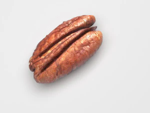 Pecan Nut 3D Model