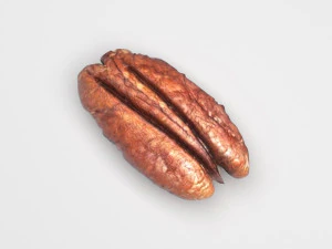 Pecan Nut 3D Model