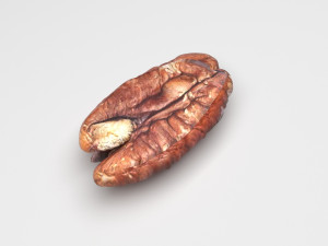 Pecan Nut 3D मॉडल