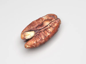 Pecan Nut 3D Model