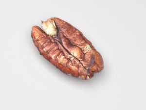 Pecan Nut 3D Model