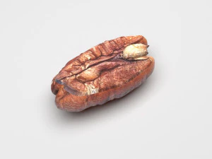 Pecan Nut 3D Model