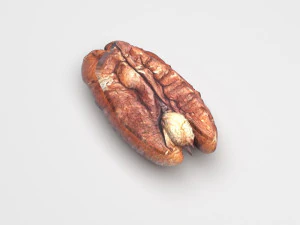 Pecan Nut 3D Model