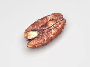 Pecan Nut 3D Model