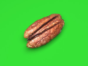 Pecan Nut 3D मॉडल