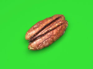 Pecan Nut 3D Model
