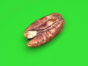 Pecan Nut 3D Model