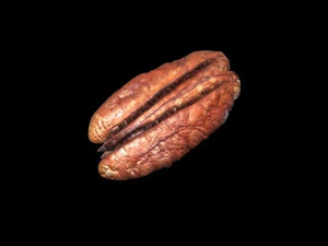 Pecan Nut 3D Model
