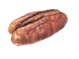 Pecan Nut 3D Model
