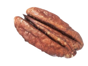 Pecan Nut 3D मॉडल