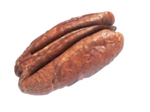 Pecan Nut 3D मॉडल
