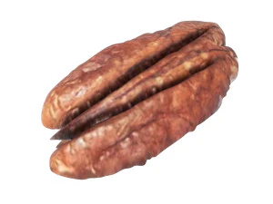 Pecan Nut 3D Model