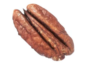 Pecan Nut 3D Model