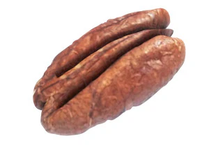 Pecan Nut 3D Model