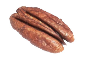 Pecan Nut 3D मॉडल