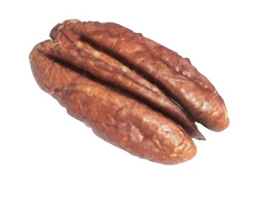 Pecan Nut 3D Model