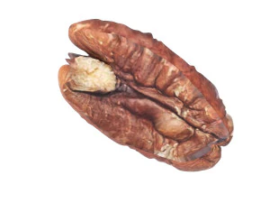 Pecan Nut 3D Model