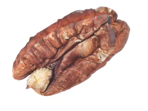 Pecan Nut 3D Model