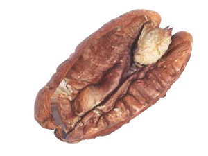 Pecan Nut 3D Model