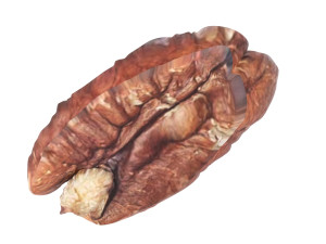 Pecan Nut 3D मॉडल