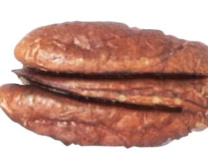 Pecan Nut 3D Model