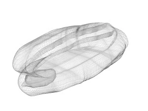 Pecan Nut 3D Model