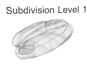 Pecan Nut 3D Model
