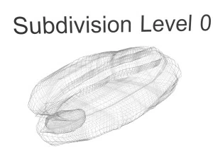 Pecan Nut 3D Model