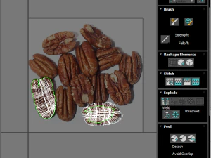 Pecan Nut 3D Model