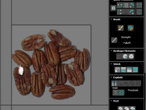 Pecan Nut 3D Model